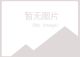 河池如天律师有限公司